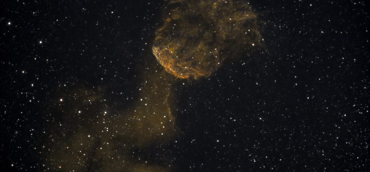 Akwarystyka kosmiczna – świecąca meduza o dźwięcznej nazwie IC443